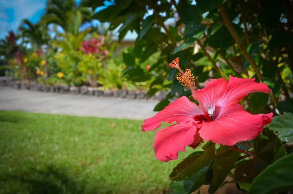 Apartament Lai Nani Oceanfront Estate Hakalau