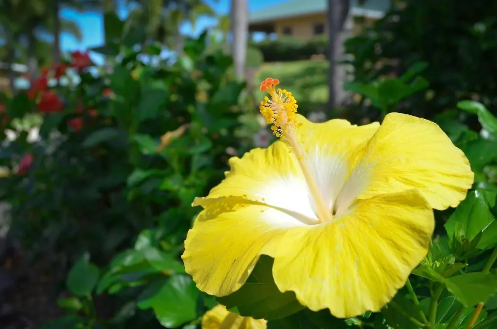 Kwatera prywatna Apartament Lai Nani Oceanfront Estate Hakalau
